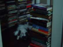 M by book stack